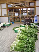 並べられた「野沢菜」