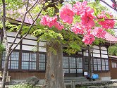 本光寺