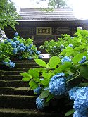 あじさい寺高源院(戸狩)