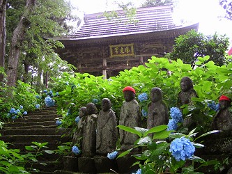 戸狩温泉 高源院のあじさい