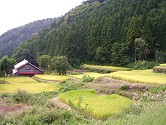福島棚田