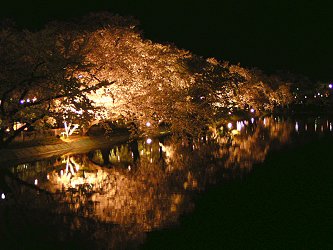 �痳�����̃T�N��